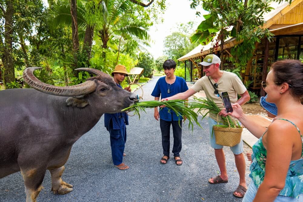 Old Phuket Farm Experience