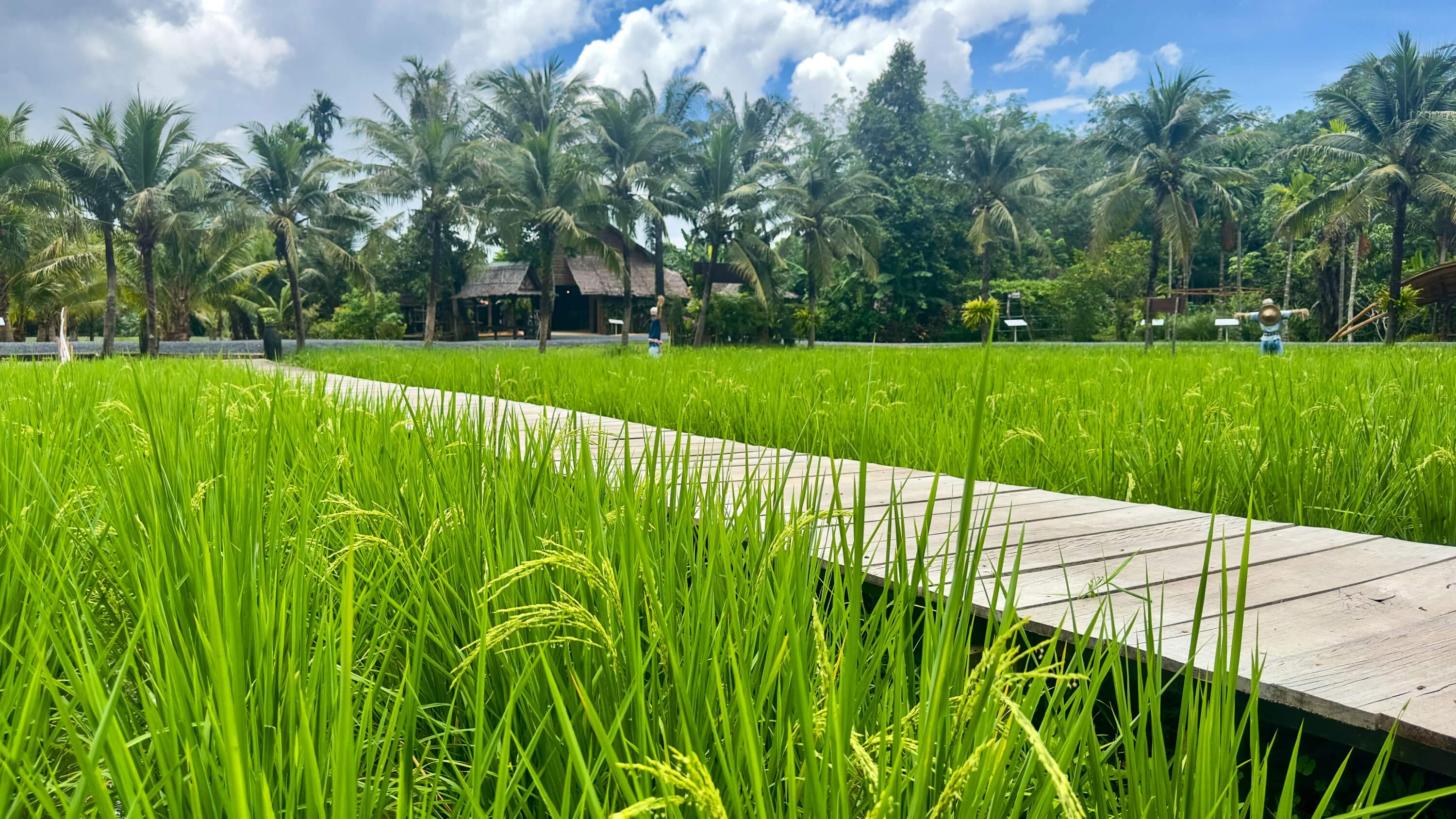 Old Phuket Farm - Authentic Thai Cultural Experience