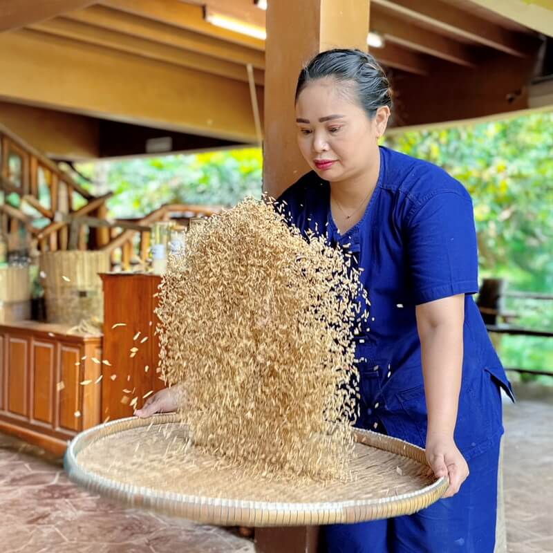 Old Phuket Farm Activities