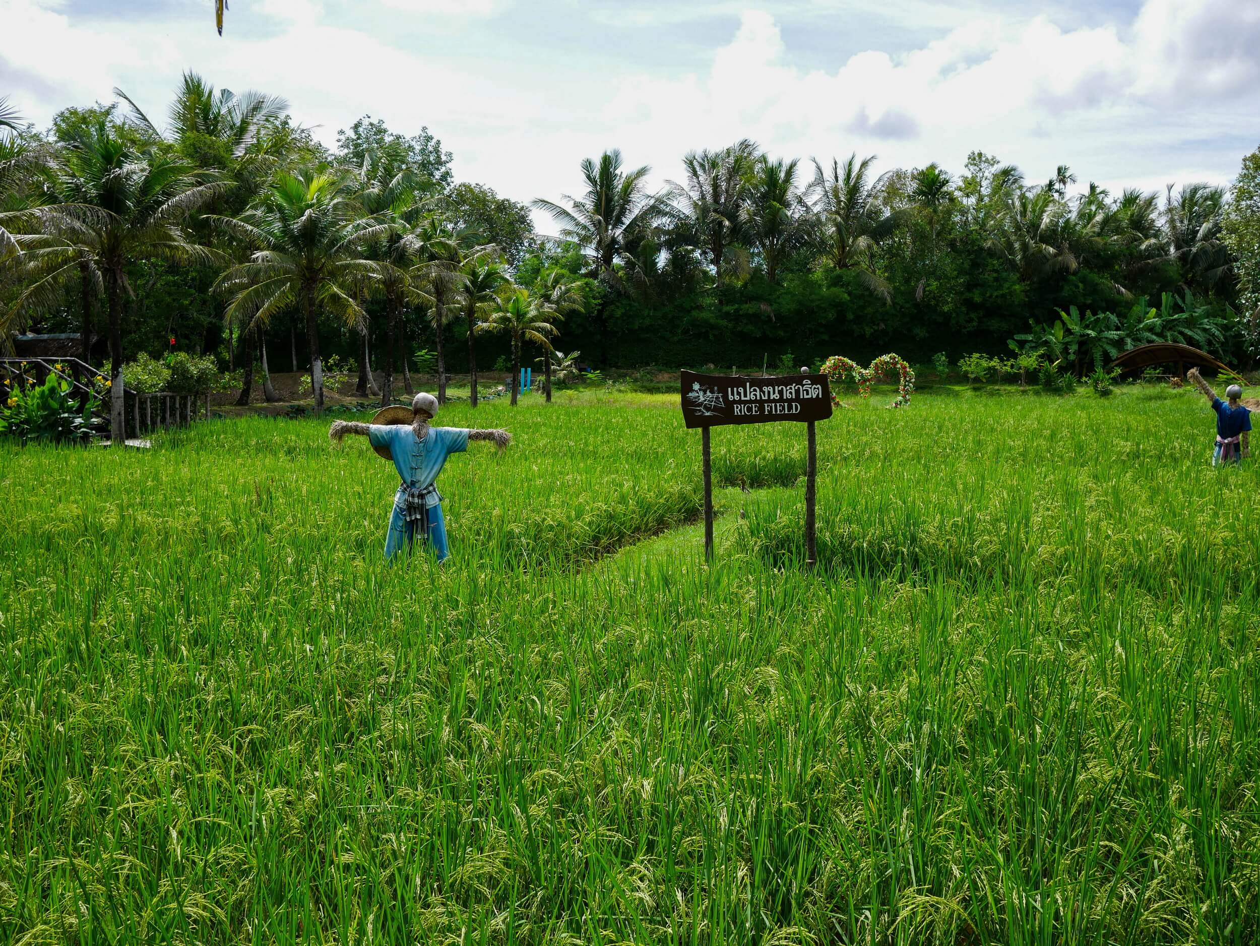 Farm Background